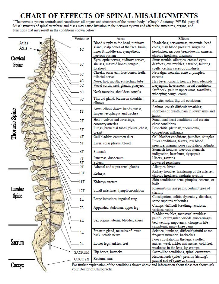 Chart of effects of spinal misalignments, listing vertebral levels, the areas they supply, and associated effects